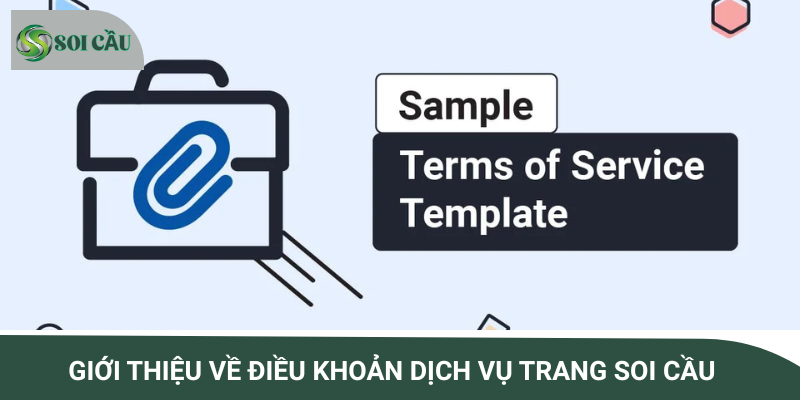 Những thông tin chung về chính sách điều khoản dịch vụ