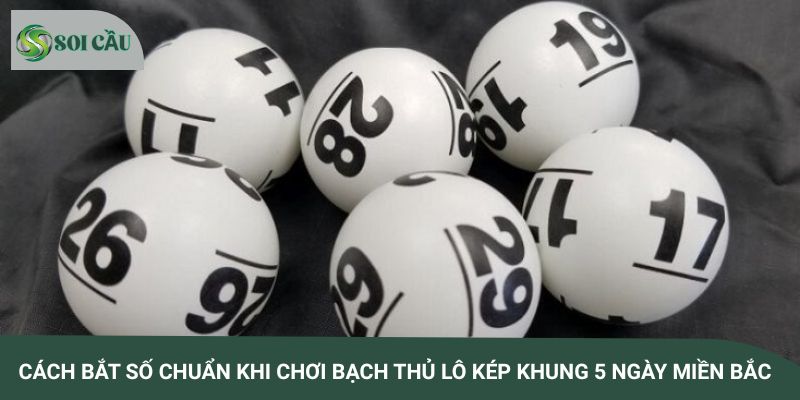 Cách bắt số chuẩn khi chơi bạch thủ lô kép khung 5 ngày miền Bắc