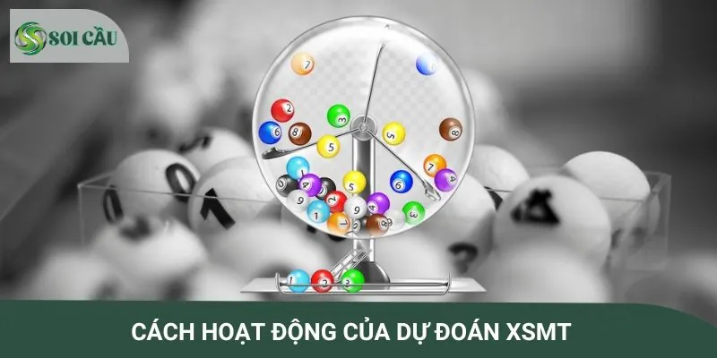Sơ lược về cách hoạt động của dự đoán XSMT