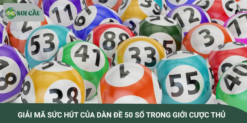 Giải mã sức hút của dàn đề 50 số trong giới cược thủ