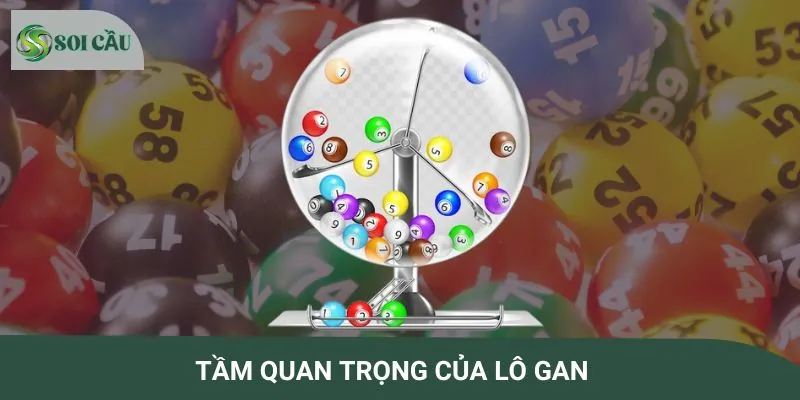 Phân tích vai trò chiến lược của lô gan miền Trung