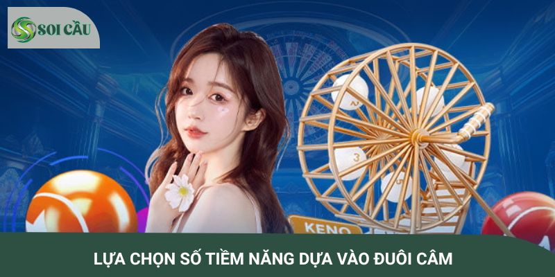 Lựa chọn giờ vàng chốt số dựa trên xu hướng tiềm năng trên đuôi câm