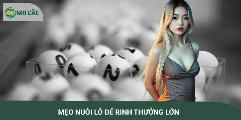 Mẹo nuôi lô để rinh thưởng lớn