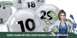 Phương pháp nuôi chạm đề đầu đuôi khung 3 ngày miền Bắc chuẩn xác