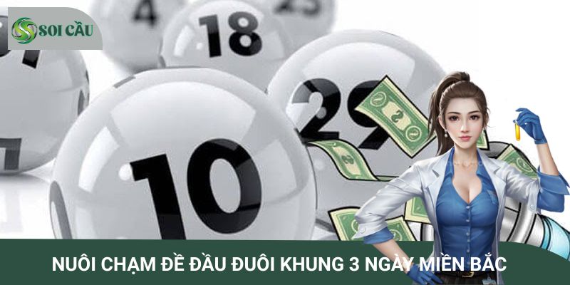 Phương pháp nuôi chạm đề đầu đuôi khung 3 ngày miền Bắc chuẩn xác