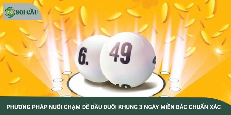 Phương pháp nuôi chạm đề đầu đuôi khung 3 ngày miền Bắc chuẩn xác