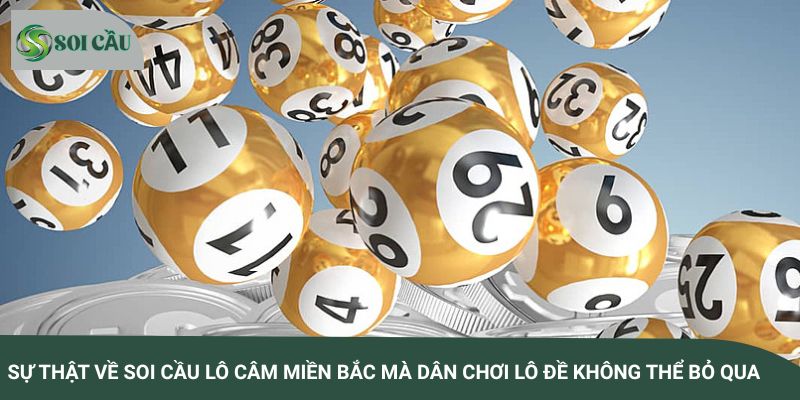 Sự thật về soi cầu lô câm miền Bắc mà dân chơi lô đề không thể bỏ qua
