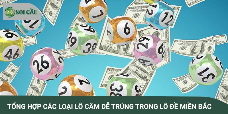 Tổng hợp các loại lô câm dễ trúng trong lô đề miền Bắc
