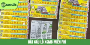 Bắt Cầu Lô XSMB Miễn Phí: Bí Kíp Chọn Số Không Tốn Một Đồng