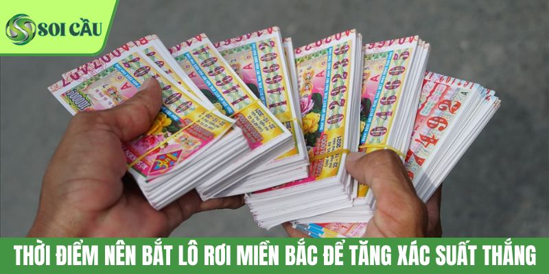 Thời điểm nên bắt lô rơi miền Bắc để tăng xác suất thắng