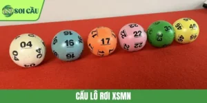 Cầu Lô Rơi XSMN: Cách Đánh Hiệu Quả Và Dễ Sinh Lời Nhất