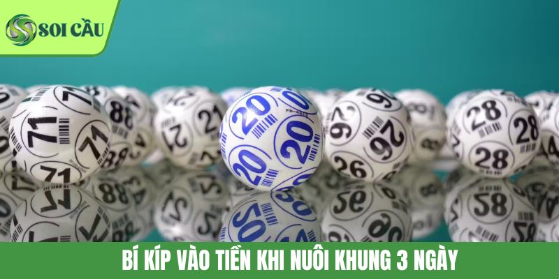 Bí kíp vào tiền khi nuôi khung 3 ngày