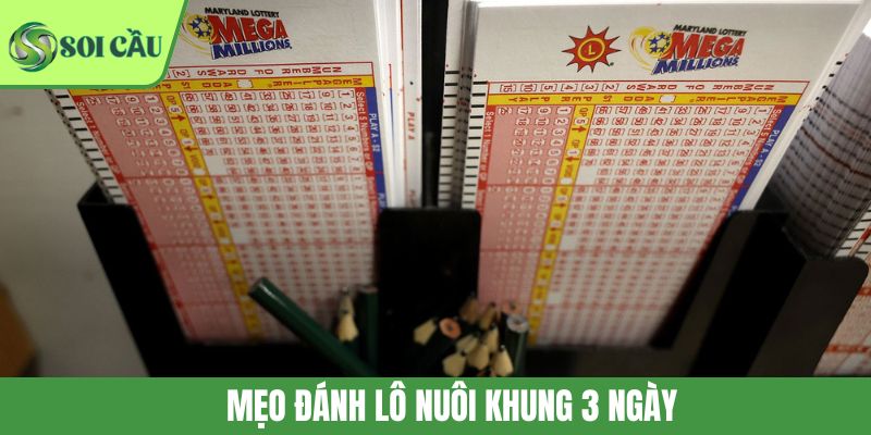 Mẹo Đánh Lô Nuôi Khung 3 Ngày Giúp Bắt Cầu Chính Xác