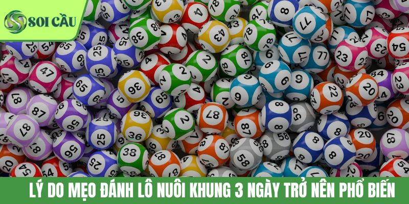 Lý do mẹo đánh lô nuôi khung 3 ngày trở nên phổ biến