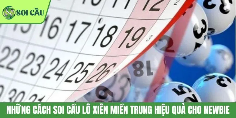 Những cách soi cầu lô xiên miền Trung hiệu quả cho newbie