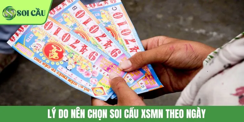 Lý do nên chọn soi cầu XSMN theo ngày