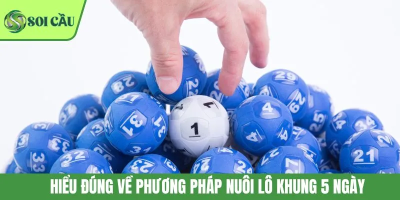 Hiểu đúng về phương pháp nuôi lô khung 5 ngày