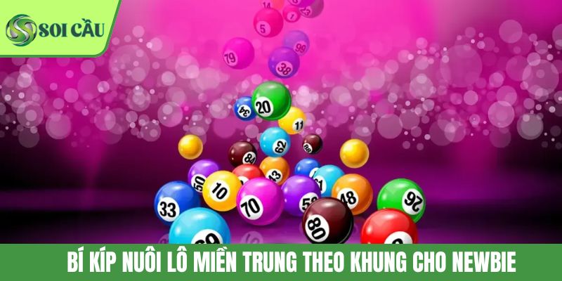 Bí kíp nuôi lô miền Trung theo khung cho newbie